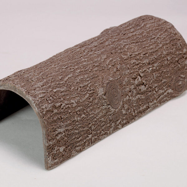 Kamenný dutý kmeň