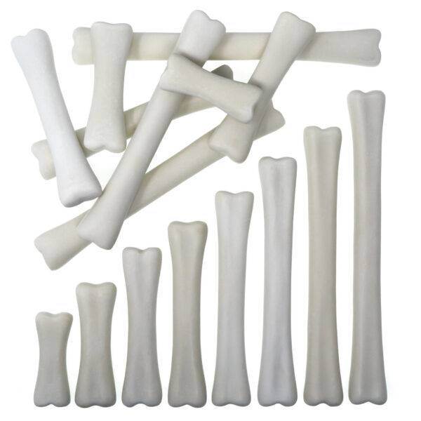 Kamenné kosti dinosaurov